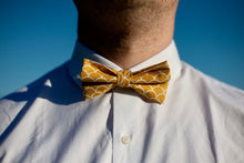 Charger l'image dans la galerie, NŒUD PAPILLON - Jaune Shell Moutarde