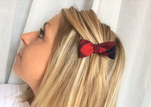 BARRETTE CHEVEUX - Rouge et Bleu British